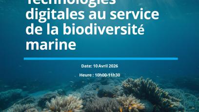 photo annonce webinaire