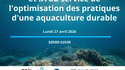 ATELIER BLUE SHUTTLE