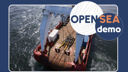 ami opensea