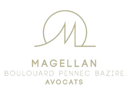 logo cabinet magellan