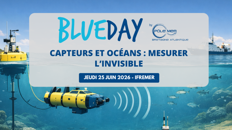bLUE DAY CAPTEURS